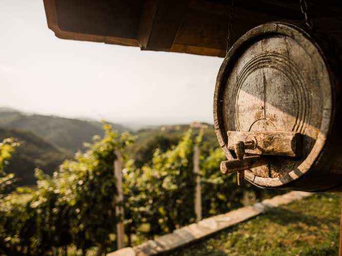 Oblikujte svoj paket