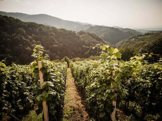 Oblikujte svoj paket